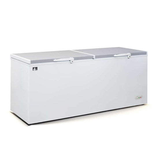 Commercial Chest Freezer - 670 Litre | BD700S