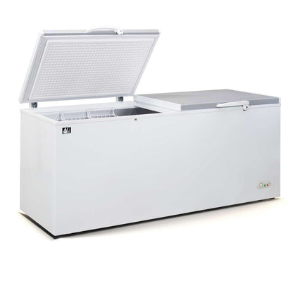 Commercial Chest Freezer - 670 Litre | BD700S