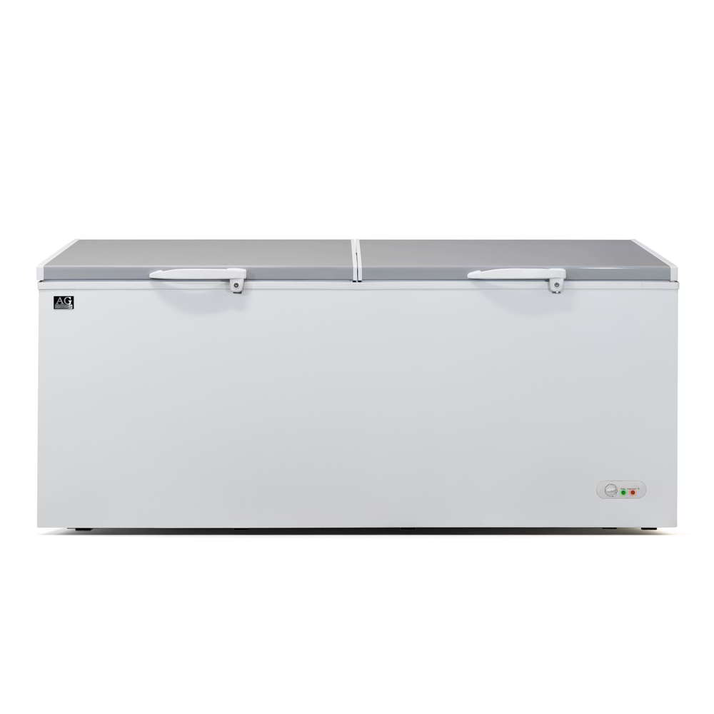 Commercial Chest Freezer - 670 Litre | BD700S