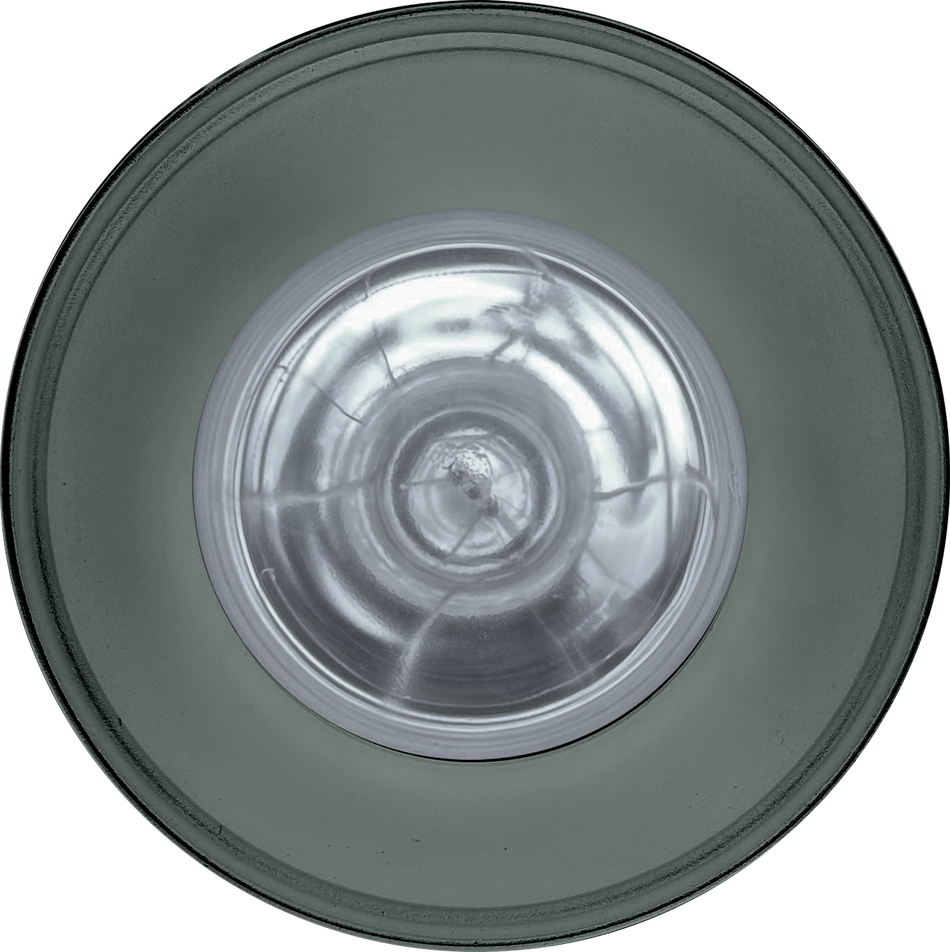 Roband PR20SG Sage Pendant Heat Lamp – 275W