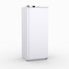 600L Upright Single Door Ventilated Fridge R600V