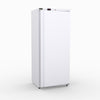 600L Upright Single Door Ventilated Fridge R600V