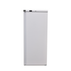600L Upright Single Door Ventilated Fridge R600V