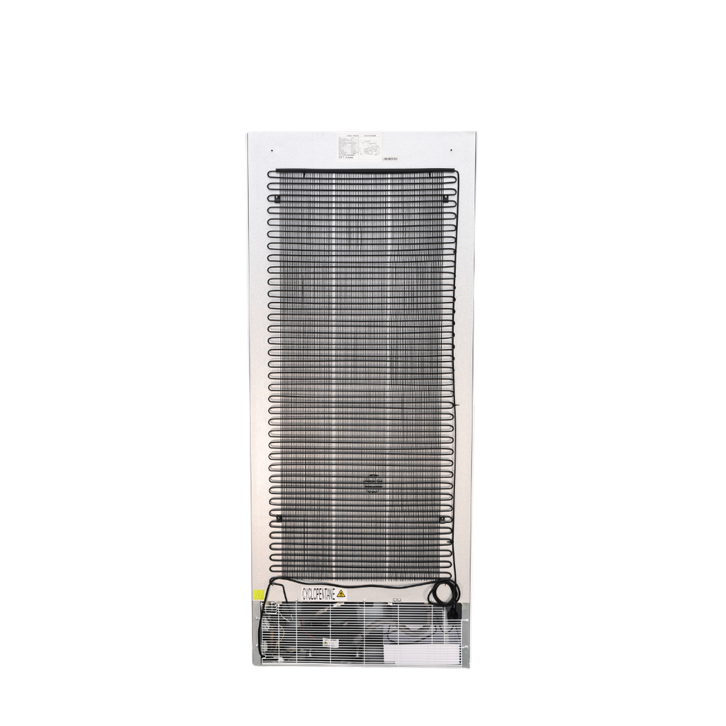 600L Upright Single Door Ventilated Fridge R600V