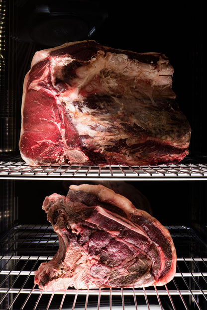 Everlasting DAE1502 Dry Age Meat Cabinet Panorama