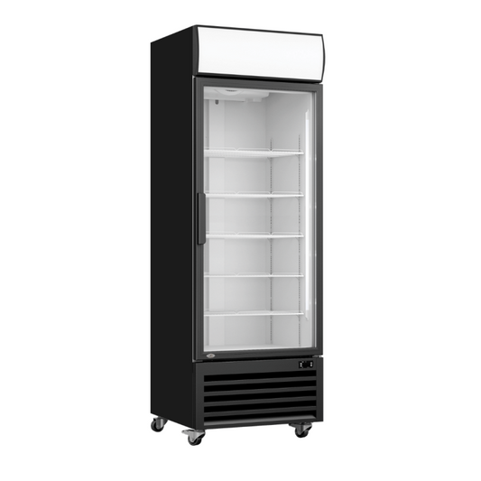 Thermaster 370L Single Glass Door Upright Fridge LG-370BP